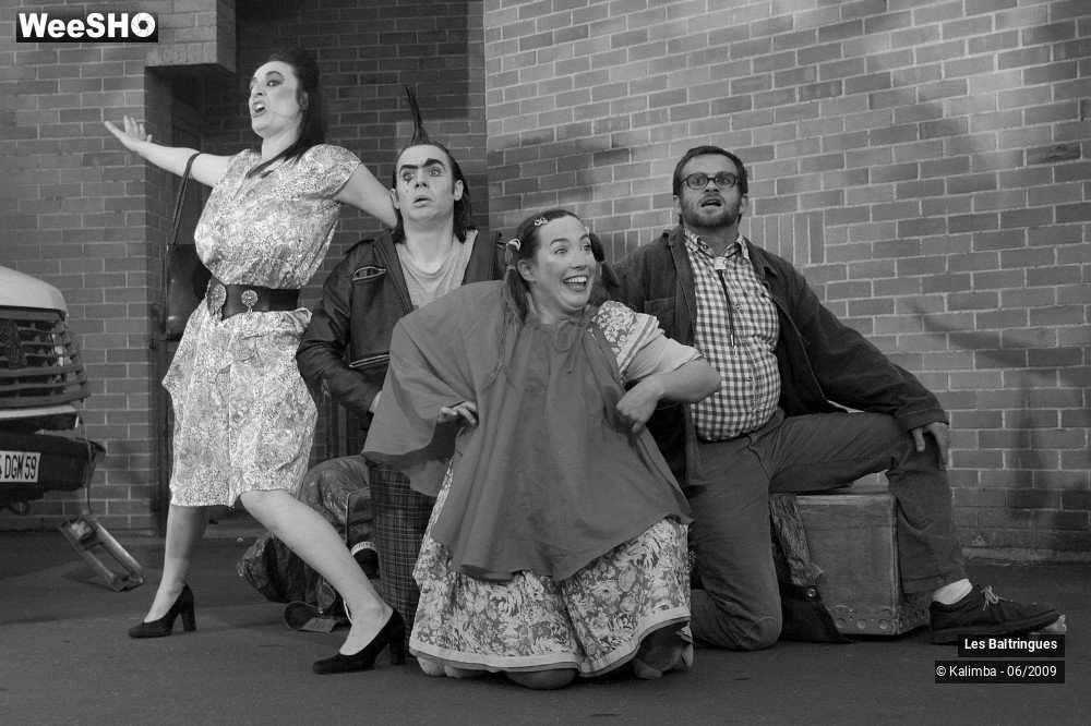 49/50 photos du spectacle La famille Baltringues 1