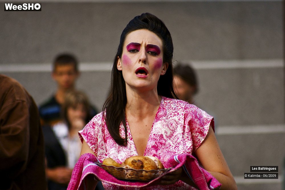 26/47 photos du spectacle La famille Baltringues 2