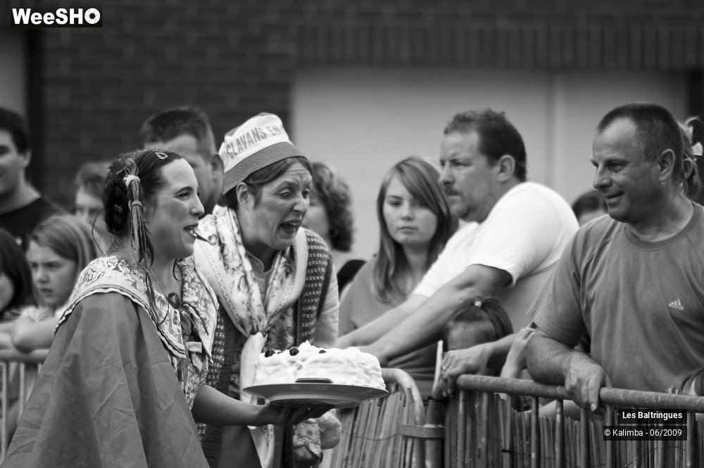 42/47 photos du spectacle La famille Baltringues 2
