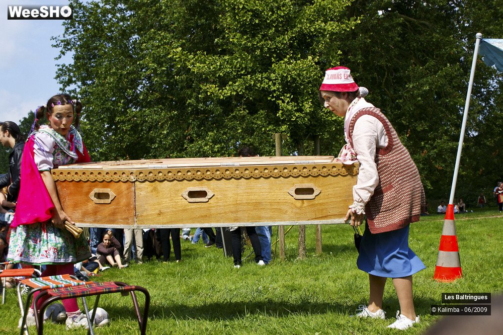 17/47 photos du spectacle La famille Baltringues 3