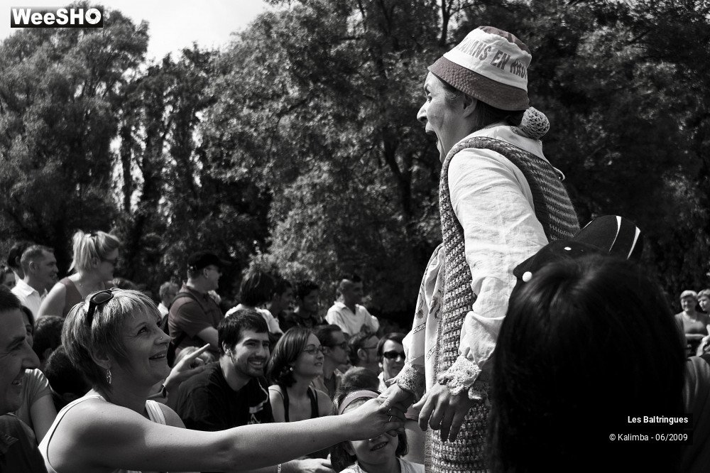 22/47 photos du spectacle La famille Baltringues 3