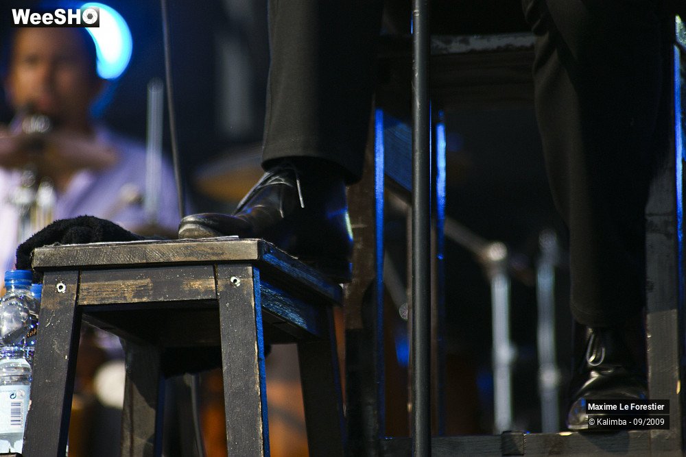 8/29 photos du spectacle Maxime Le Forestier