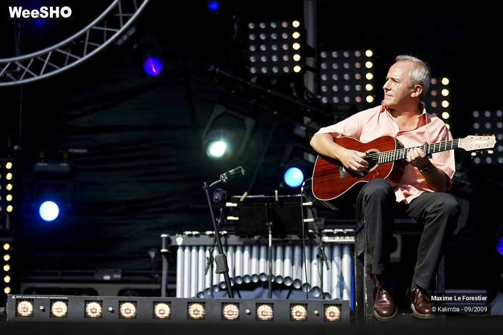 13/29 photos du spectacle Maxime Le Forestier
