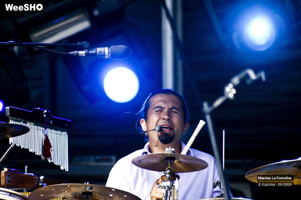 22/29 photos du spectacle Maxime Le Forestier