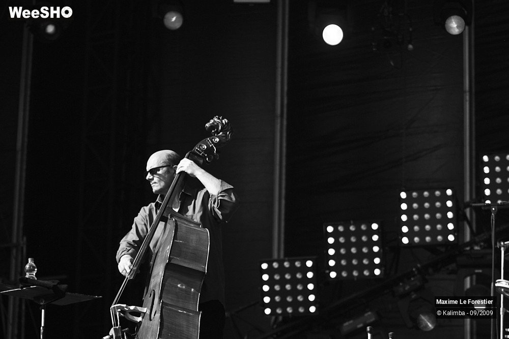 23/29 photos du spectacle Maxime Le Forestier