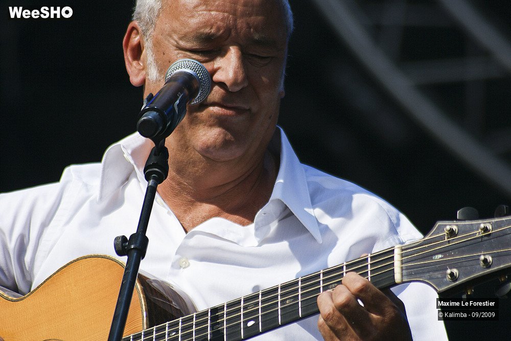 25/29 photos du spectacle Maxime Le Forestier