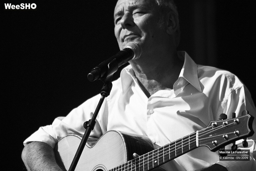 27/29 photos du spectacle Maxime Le Forestier