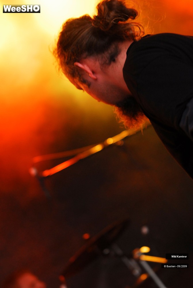 5/27 photos du spectacle Wild Karnivor