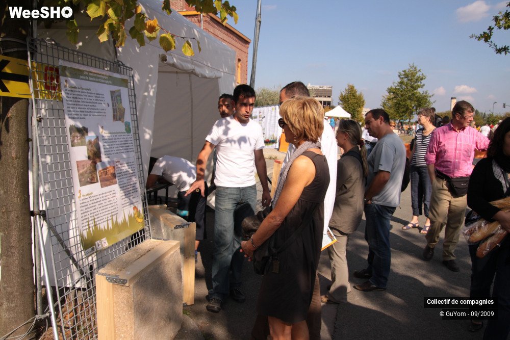 9/36 photos du spectacle Blue Days Les Stands