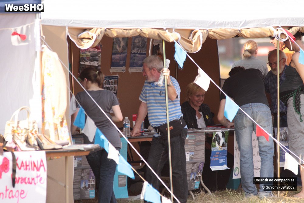 19/36 photos du spectacle Blue Days Les Stands