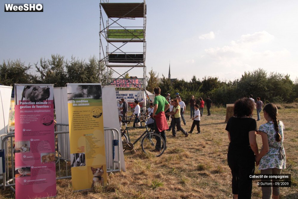 27/36 photos du spectacle Blue Days Les Stands