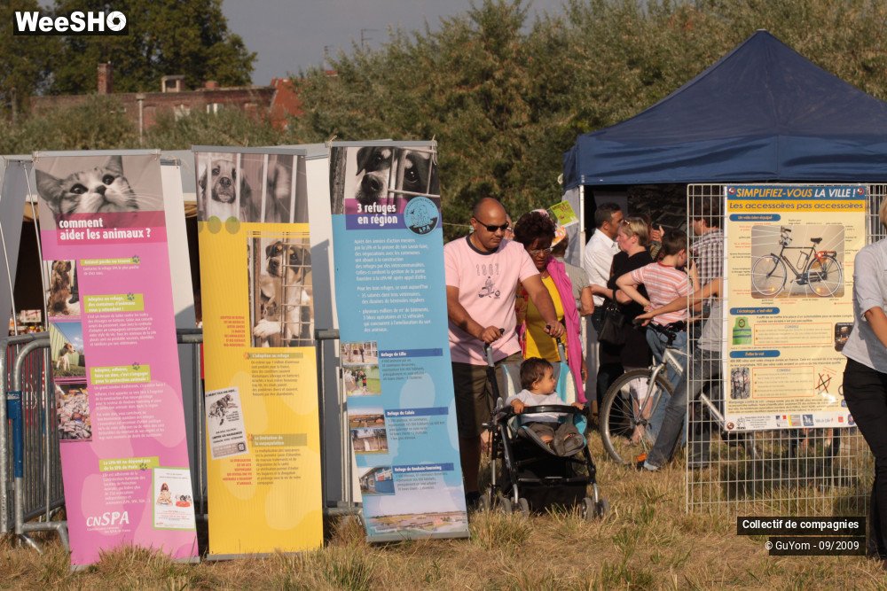 28/36 photos du spectacle Blue Days Les Stands