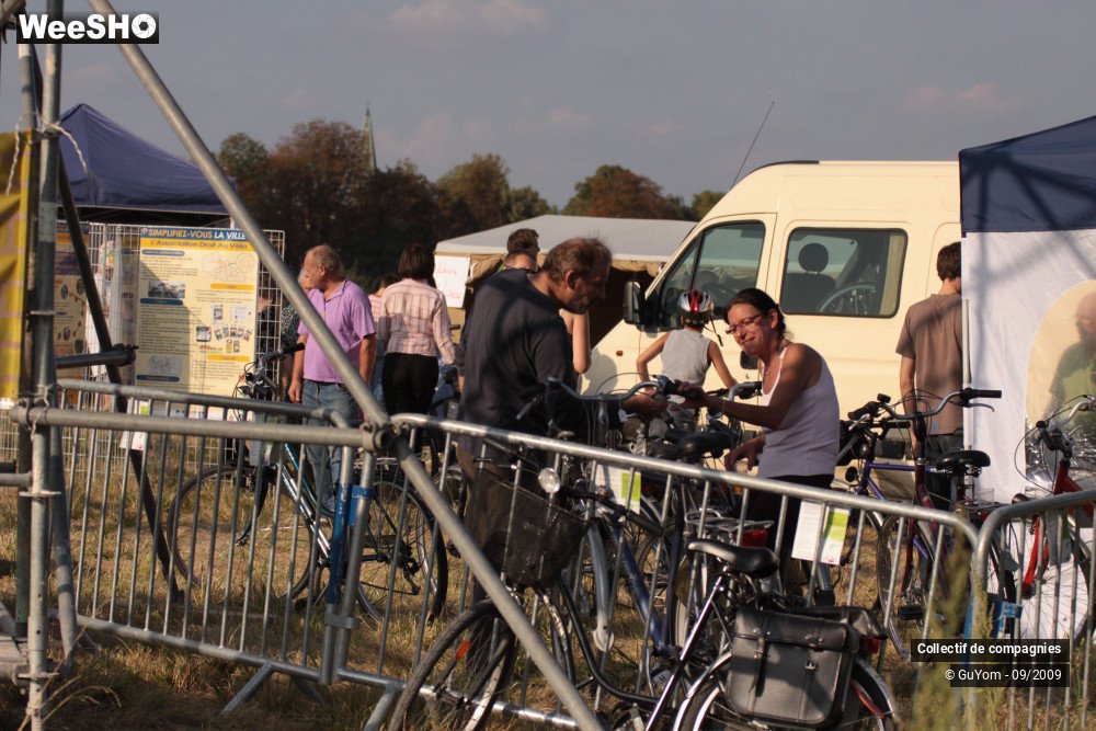 32/36 photos du spectacle Blue Days Les Stands