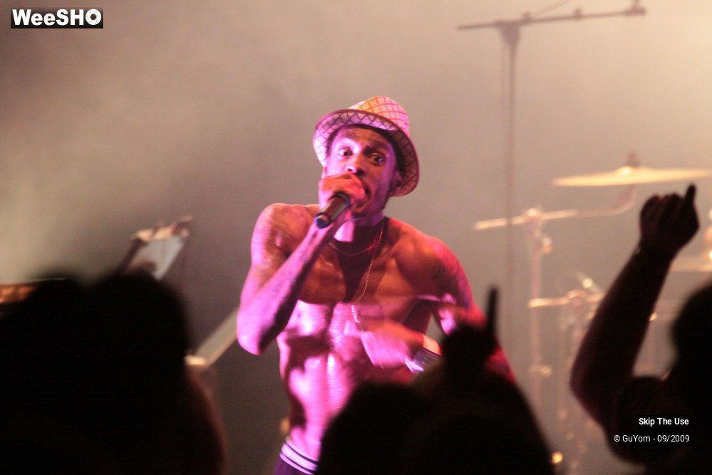 35/50 photos du spectacle Skip The Use