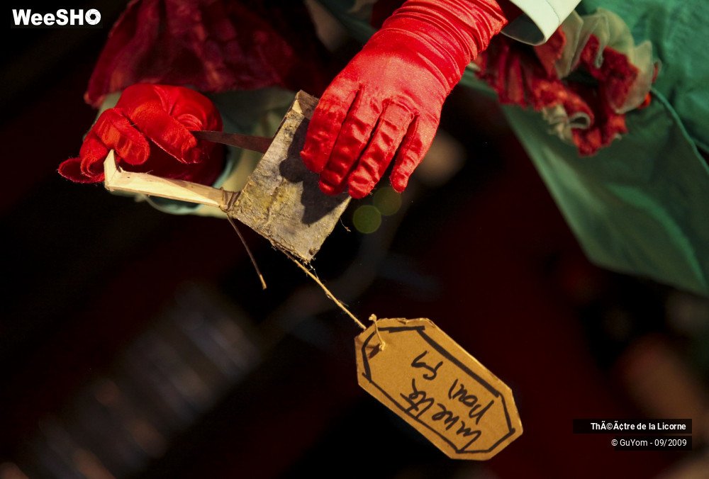 20/34 photos du spectacle La Griffe des Escargots 