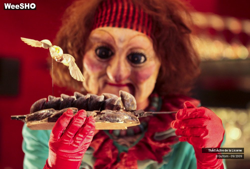 24/34 photos du spectacle La Griffe des Escargots 