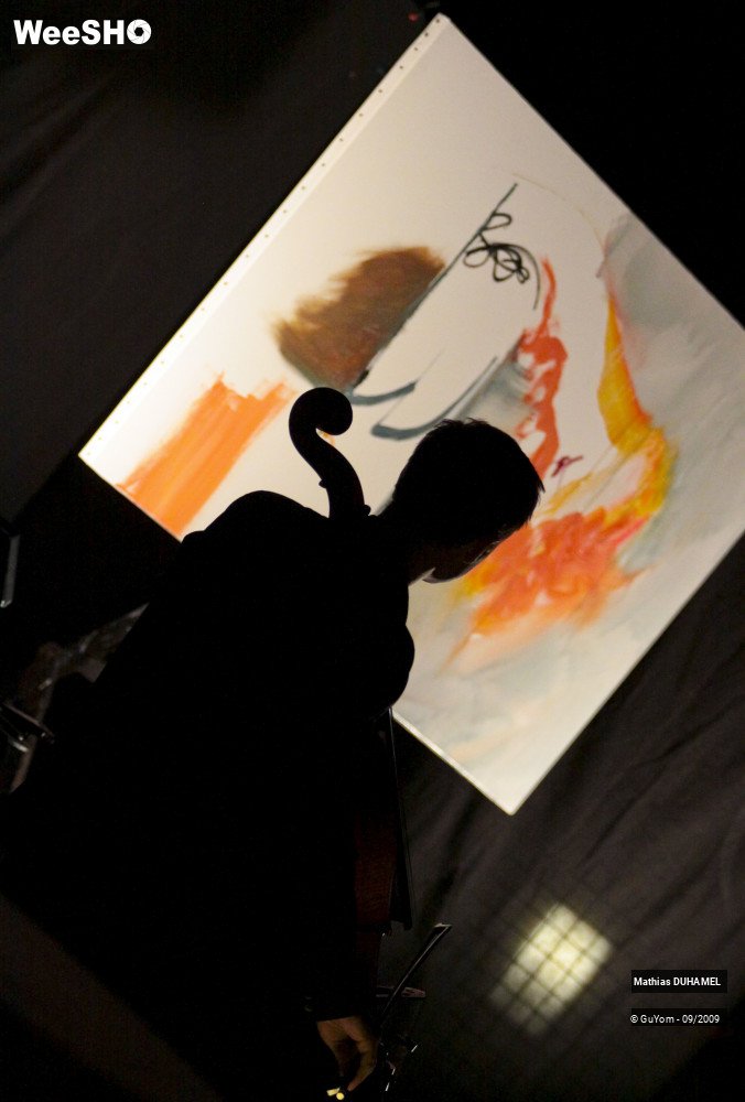 6/46 photos du spectacle Concert de Peinture