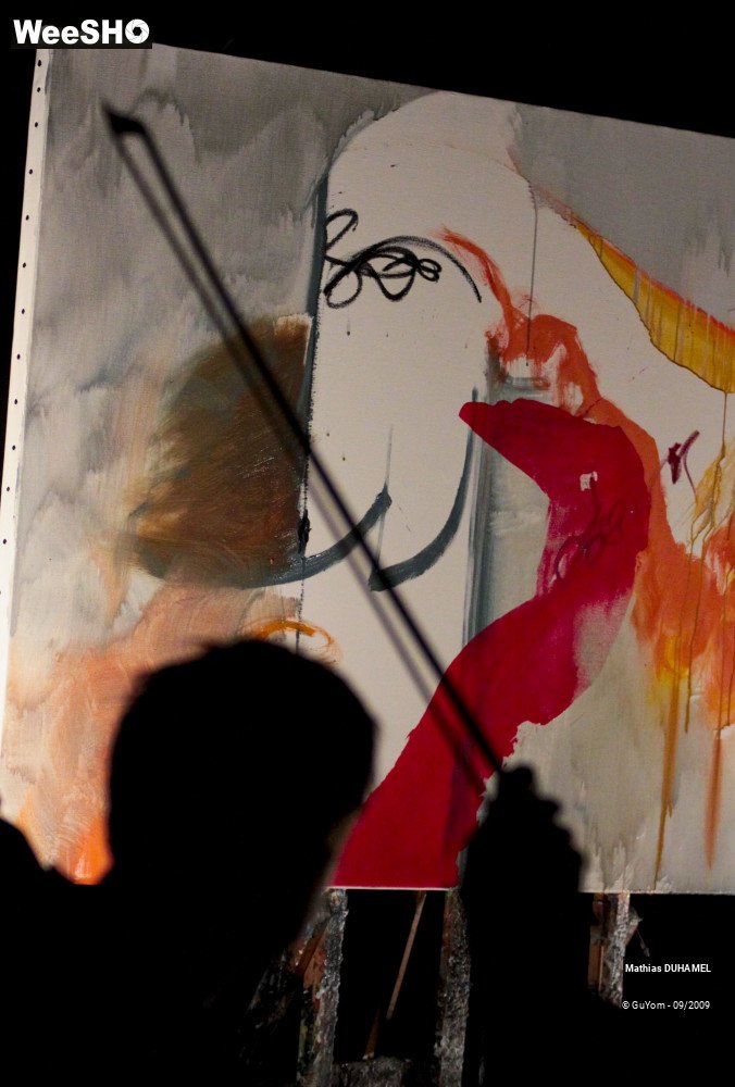 15/46 photos du spectacle Concert de Peinture