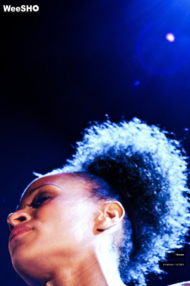 9/31 photos du spectacle Oceana