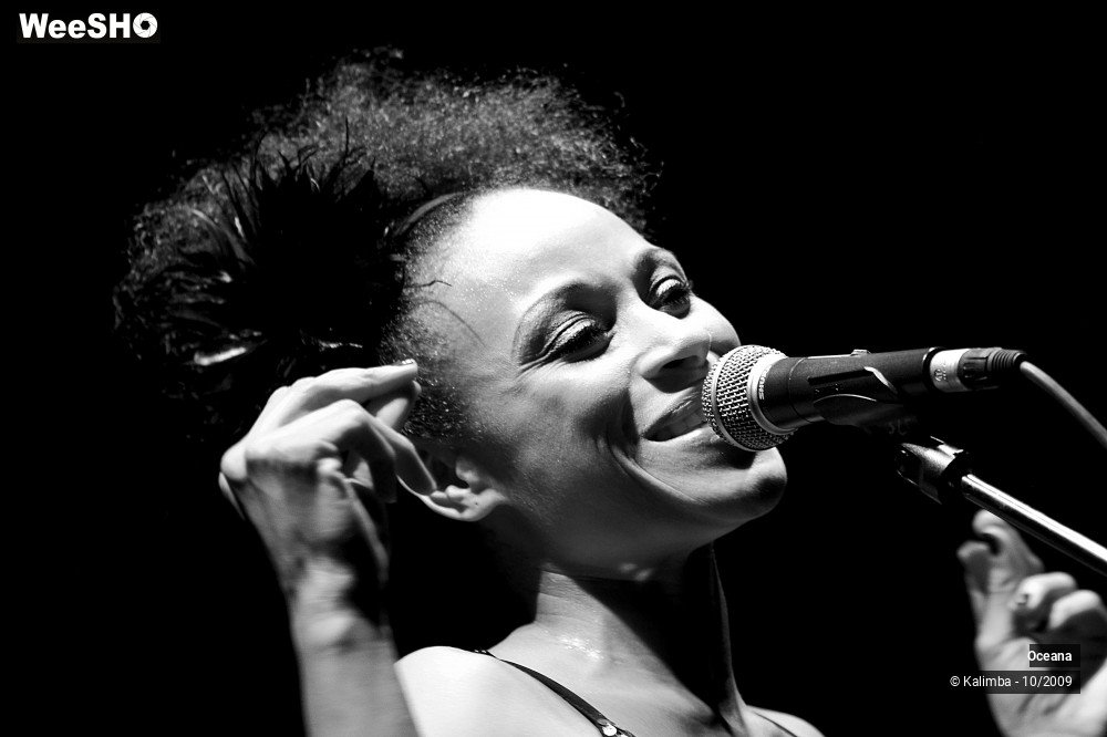 16/31 photos du spectacle Oceana