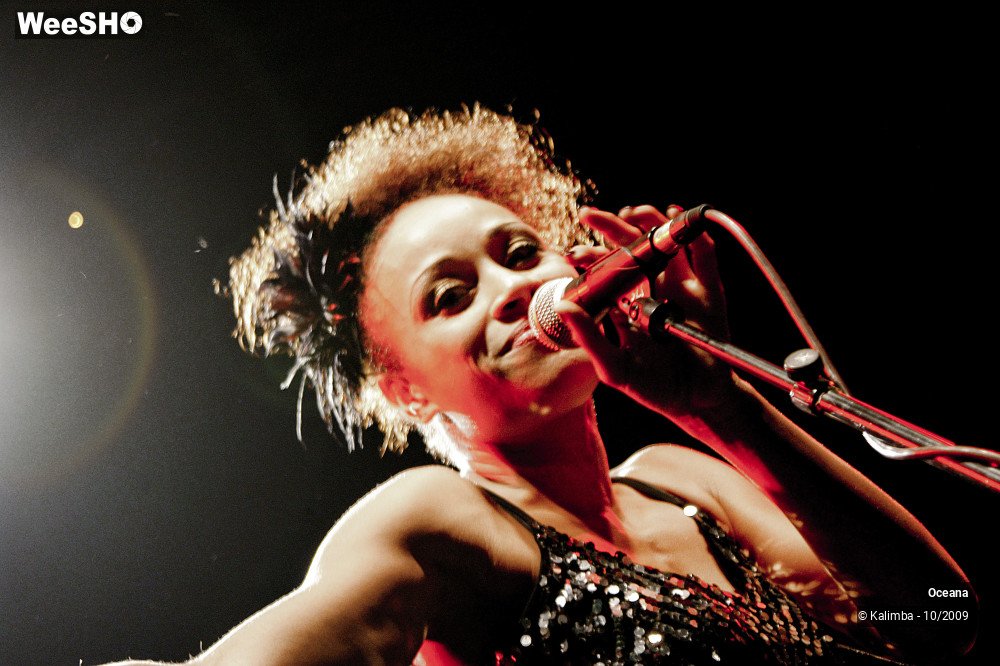 21/31 photos du spectacle Oceana