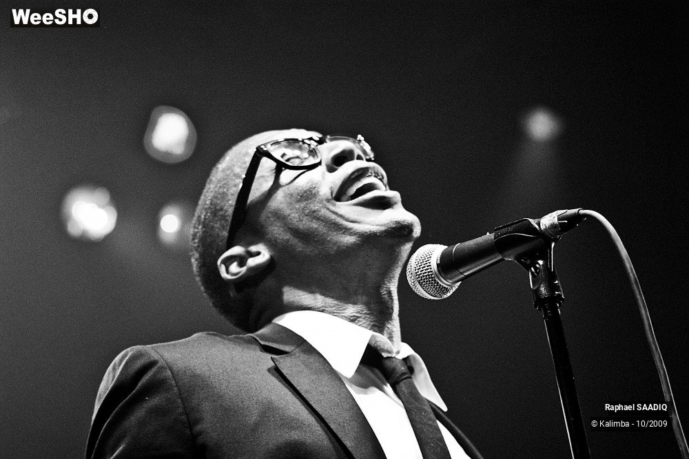 20/47 photos du spectacle Raphael SAADIQ