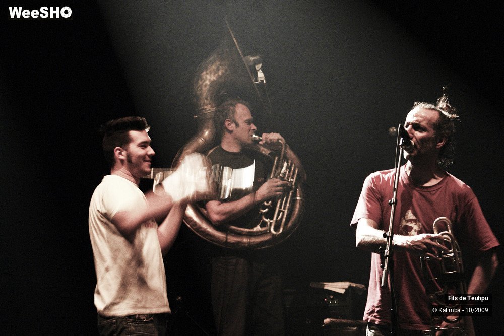 37/43 photos du spectacle Les Fils de Theupu