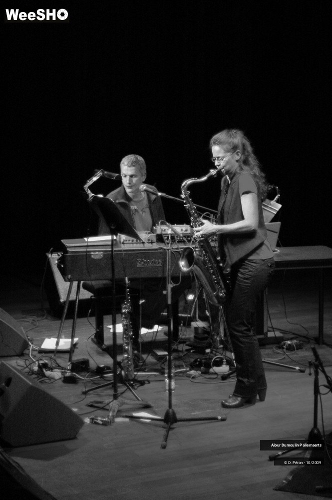 3/10 photos du spectacle Alour Dumoulin Pallemaers
