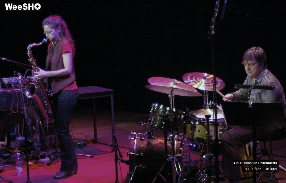 8/10 photos du spectacle Alour Dumoulin Pallemaers
