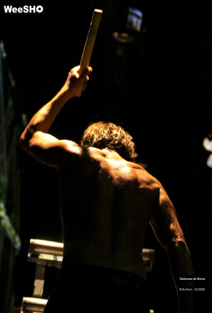 1/49 photos du spectacle Tambours du Bronx Portraits