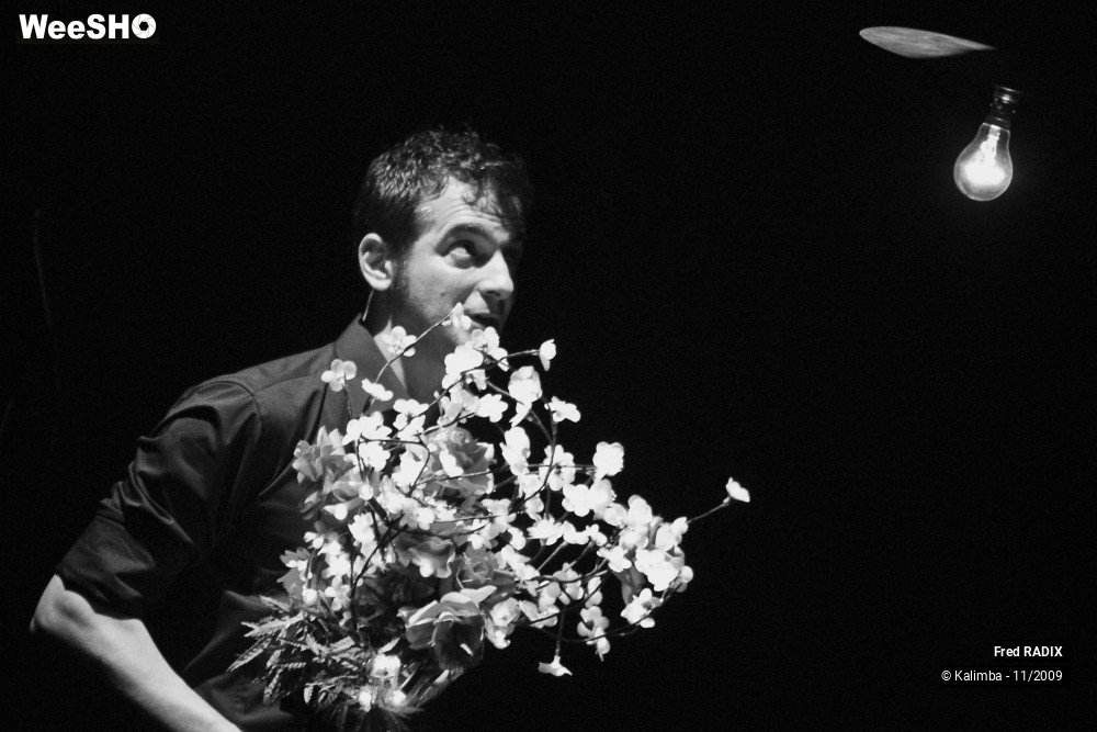13/35 photos du spectacle Fred RADIX