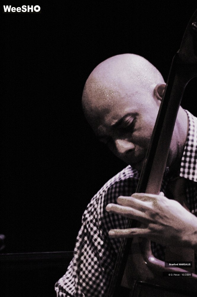 3/13 photos du spectacle Branford Marsalis Quartet