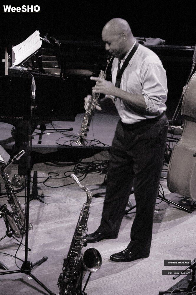 8/13 photos du spectacle Branford Marsalis Quartet