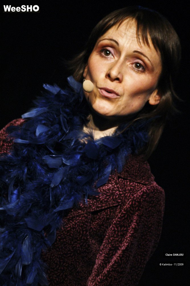 21/39 photos du spectacle Claire DANJOU