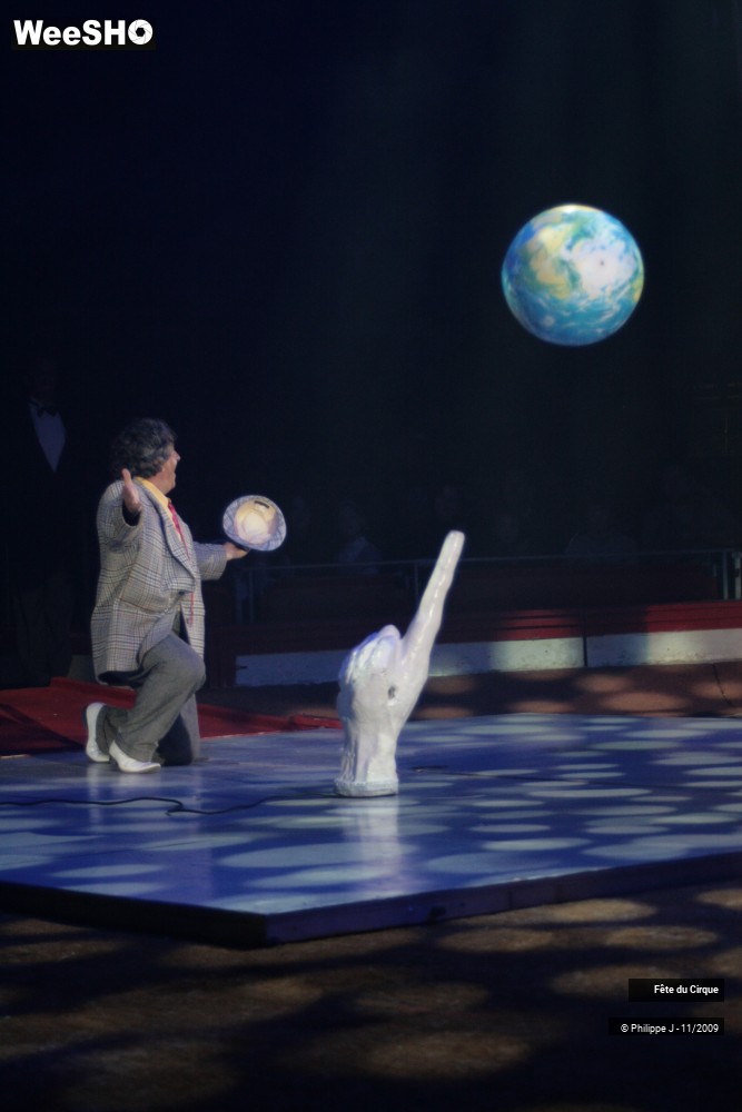 12/20 photos du spectacle Fête lilloise du cirque