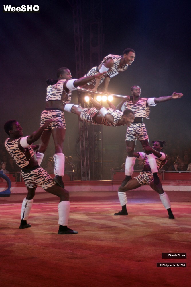 18/20 photos du spectacle Fête lilloise du cirque
