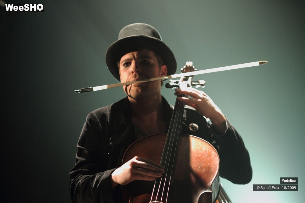 14/20 photos du spectacle Yodelice
