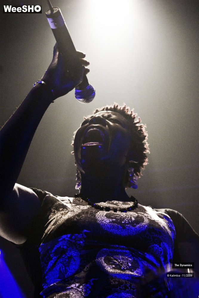 4/47 photos du spectacle The Dynamics