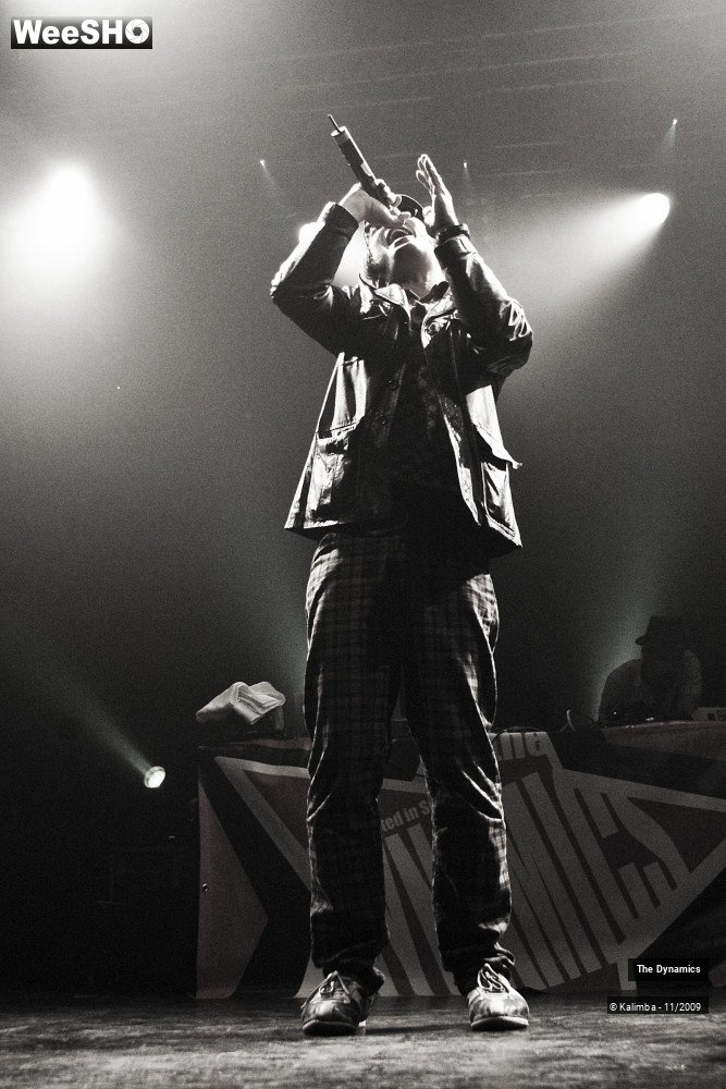 5/47 photos du spectacle The Dynamics
