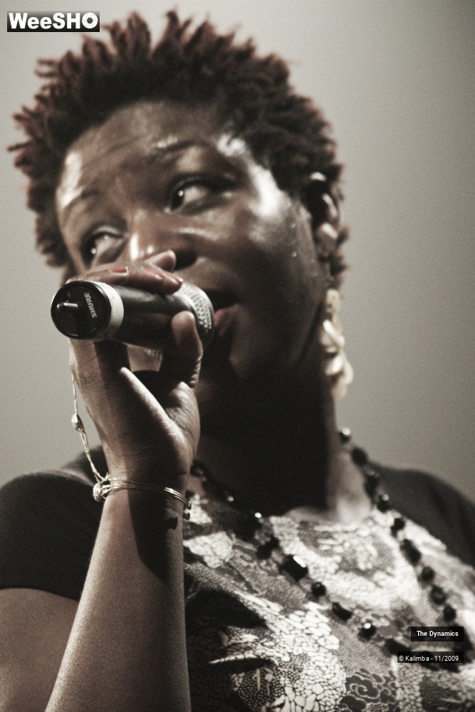 8/47 photos du spectacle The Dynamics