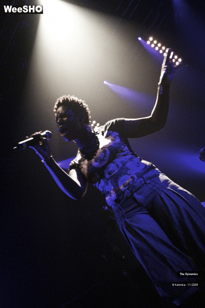 12/47 photos du spectacle The Dynamics