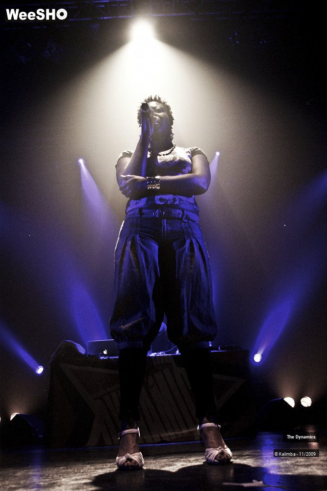15/47 photos du spectacle The Dynamics