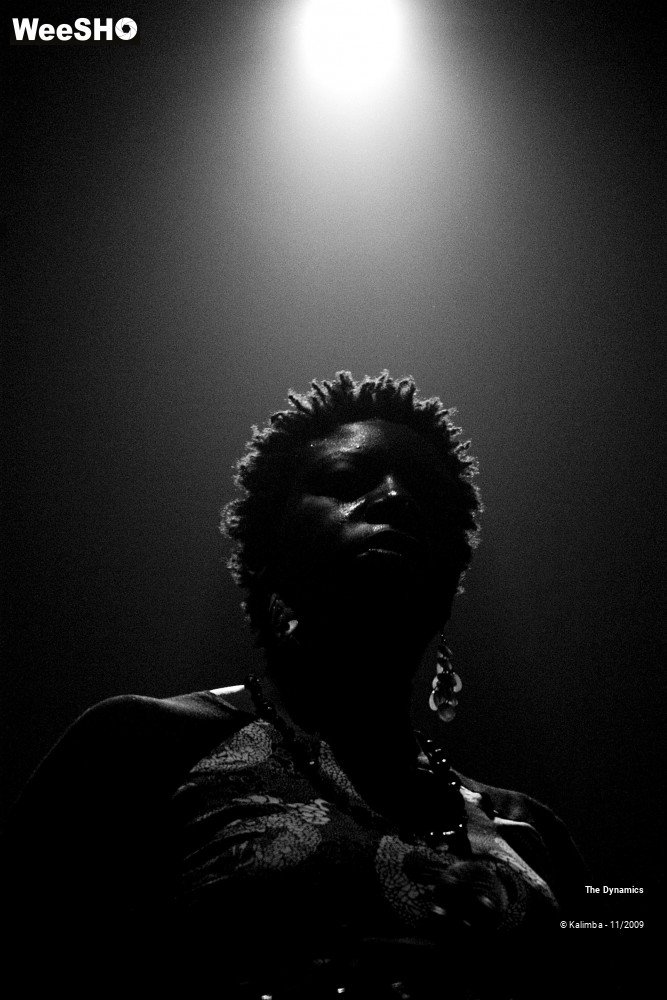 16/47 photos du spectacle The Dynamics