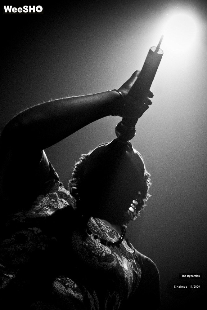 17/47 photos du spectacle The Dynamics