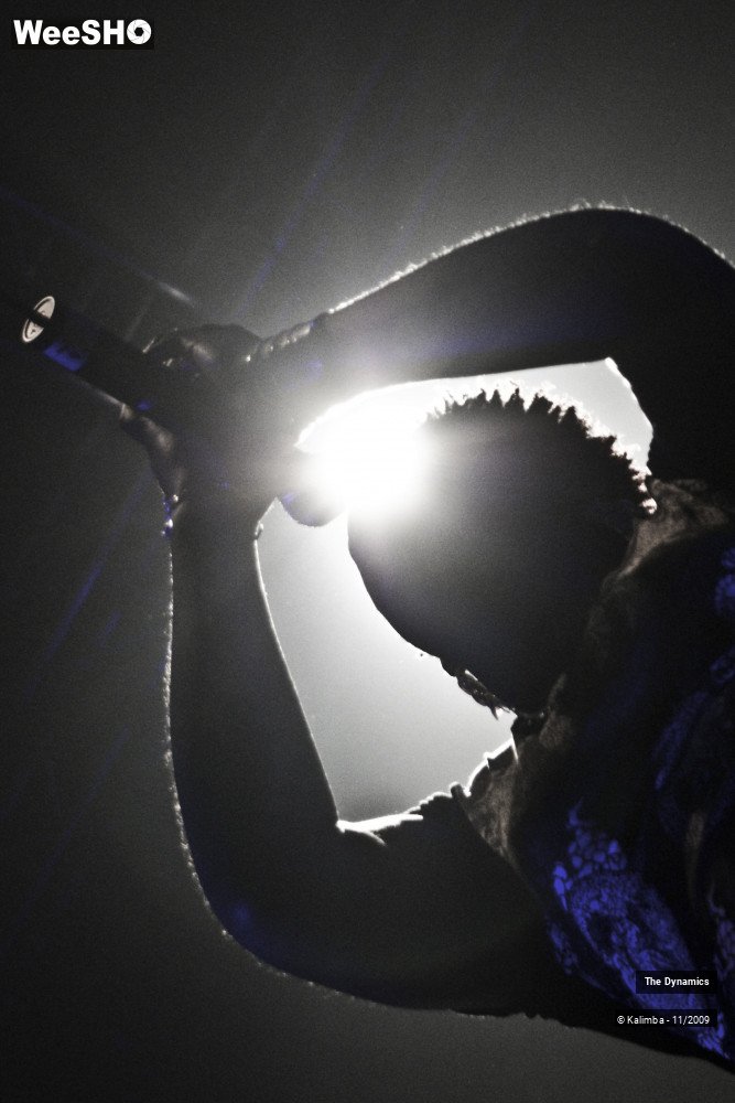 19/47 photos du spectacle The Dynamics