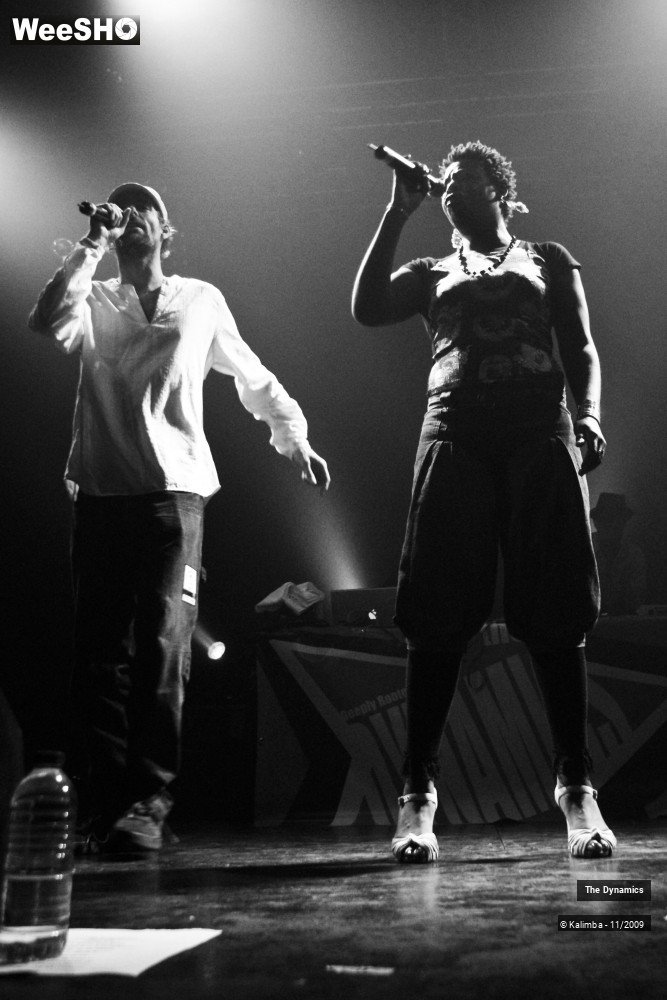 22/47 photos du spectacle The Dynamics