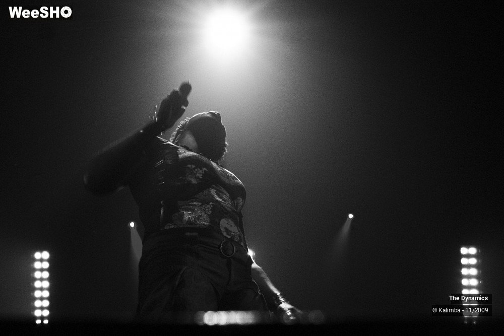 25/47 photos du spectacle The Dynamics