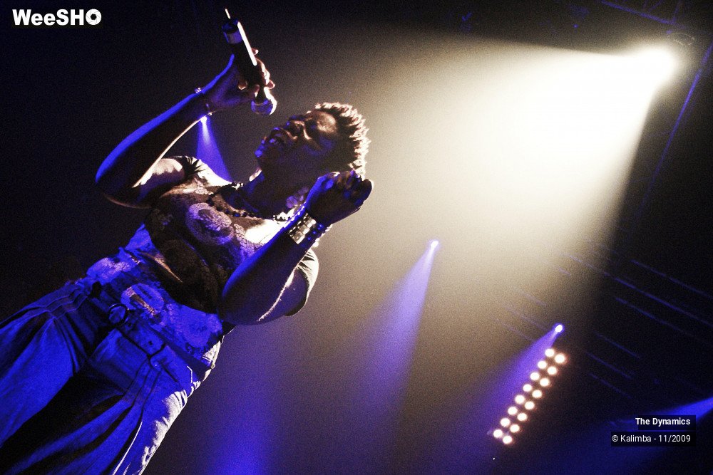 26/47 photos du spectacle The Dynamics