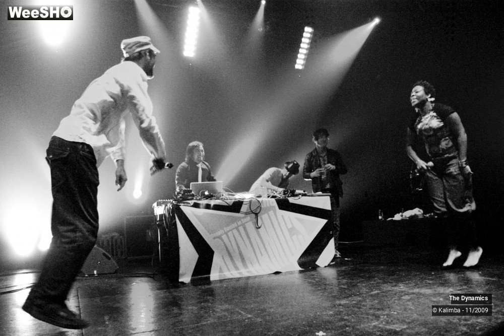 28/47 photos du spectacle The Dynamics