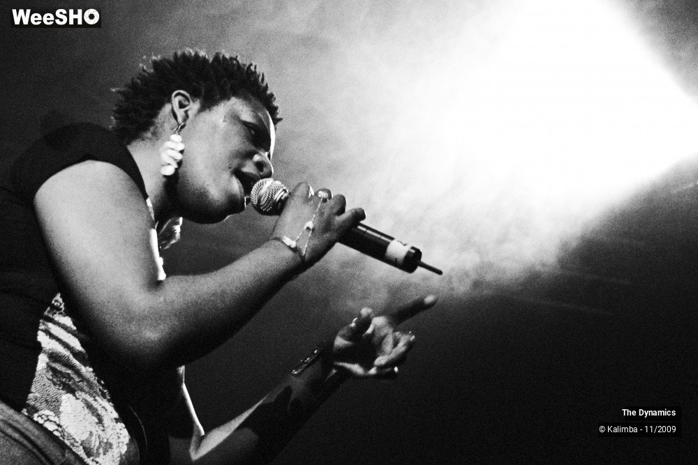29/47 photos du spectacle The Dynamics